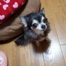 choko.&rin.mama's profile picture
