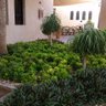 فرحة بشر برش المطر profil fotoğrafı
