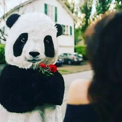 hassna_sedki's profile picture