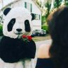 HaSsna SeDki's profile picture