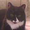 Profilbild von Donna Kaloc
