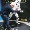 Joe farrell's profile picture