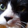 のりきーた profil fotoğrafı