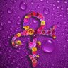Cathleen Bach's profile picture