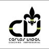 Profilbild von Carlos Vidal