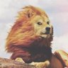 Profilbild von Wayne