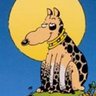 Profilbild von Dave Ruff