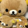 Фото профиля kuma