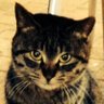 Profilbild von ちむ