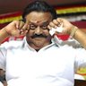 mhhsankar's profile picture