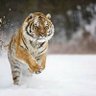 Фото профиля Carl