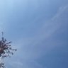 cihan yıldırım profil fotoğrafı