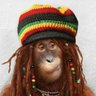 Radha's profile picture