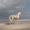 AL.AHRBI's profile picture