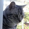 yocchinb's profile picture