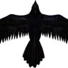 Wicked Raven's profile picture