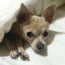 Cloe 的头像