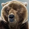 Ed Neil's profile picture
