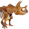 Profilbild von DinosaurScienceNews
