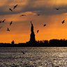 NY Nite Owl profil fotoğrafı