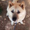 ちぃ's profile picture