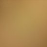 zz profil fotoğrafı