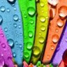peinture bio nature's profile picture