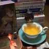 Фото профиля ぱっかーど🇯🇵@1987年東京サミットG7に上田泰弘さんと参加。
