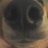 what?'s profile picture