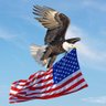 Фото профиля I Pledge Allegiance