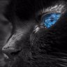 Profilbild von Нина_011 🇷🇸❤️