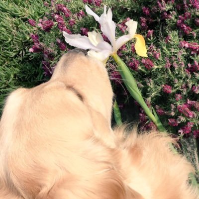 ishikawamai5's profile picture