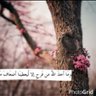 فيصل الدوسري profil fotoğrafı