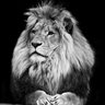 FORBIDDEN's profile picture