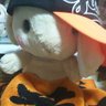 Profilbild von じゃっぴー