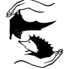 Fundacja PRIMUM's profile picture