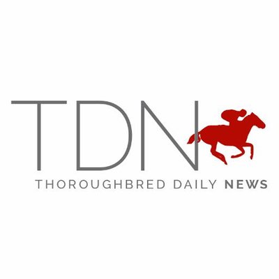 TDN's profile picture