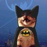 Фото профиля BatCat