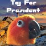 Taj4Prez profil fotoğrafı
