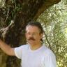 Profilbild von Luca CODELUPPI - Systems Thinking