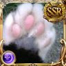 ねこ profil fotoğrafı