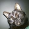 Chelo12 profil fotoğrafı