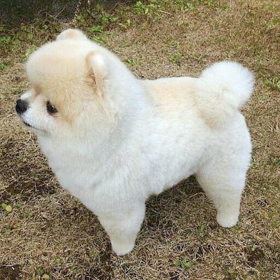 とっきー's profile picture