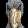 しましま profil fotoğrafı