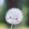 Diana Vieites 🍏's profile picture