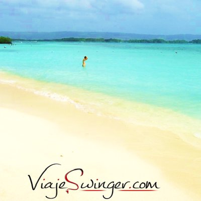Viaje Swinger's profile picture