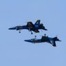 Blue Angels Rock's profile picture