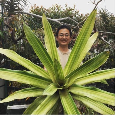 KBromeliads's profile picture