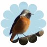 yurinano's profile picture