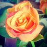 Chanae Craig's profile picture